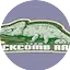Logo Blackcomb Radio