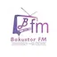 Logo Bakustor fm
