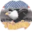 Logo Radio Eagle FM