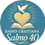 Logo Salmo 40