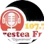 Logo Prestea 107.7 Fm