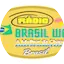 Logo Rádio Brasil Web