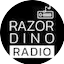 Logo Razordino Radio