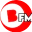 Logo BFM România