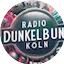 Logo Radio Dunkelbunt
