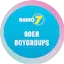 Logo Radio 7 - 90er Boygroups