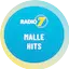 Logo Radio 7 - Malle Hits