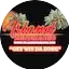 Logo Island Zone Radio