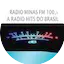 Logo Radio Minas Fm 100.1