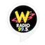 Logo Radio W 99.5 FM