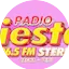 Logo Radio Fiesta - Tacna