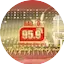 Logo Pedro Juan Caballero 95.9 Fm