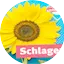 Hitradio antenne 1 Schlager