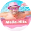 Logo Hitradio antenne 1 Malle Hits