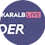 Logo Neckaralb Live 90er
