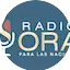 Logo RADIO ORA