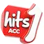 Logo Hits 1 acc