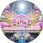 Psychedelic Secrets Radio