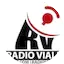 Logo Radio Vialet Fm 100.3