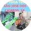 Logo Rádio// pop toca tudo