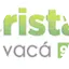 Logo Cristal Boyaca