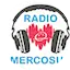 Logo Radio Mercosur