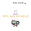 Logo RADIO STIL MIX MANELE