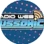Logo Radio Lussonica