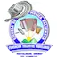 Logo Talento Niquelero Radio