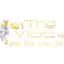 Logo 101TheVibeFM