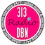 Logo 313 DBN Radio