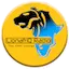 Logo LionafriQ Radio