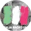 Logo Italia Radio 1