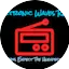 Logo Electronic Waves Radio