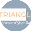 Logo Triangle