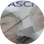 Logo DJ Sasch