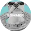 Logo delta radio Sommer