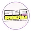 Logo SLE Radio