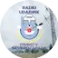 Logo Радио ударник
