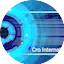 Logo Cro International DJ radio