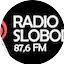 Logo Radio Sloboda Funky