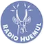 Logo Radio Huemul