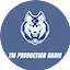 Logo Tm Production Radio