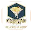 Logo Megazone Diamond FM