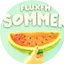Logo FluxFM Sommer