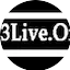 Logo 313 Live.Org