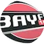 Logo BayFM