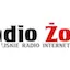 Logo Radio Żory