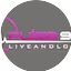 Logo Pulse 98.4 FM