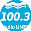 Logo Radio UNER